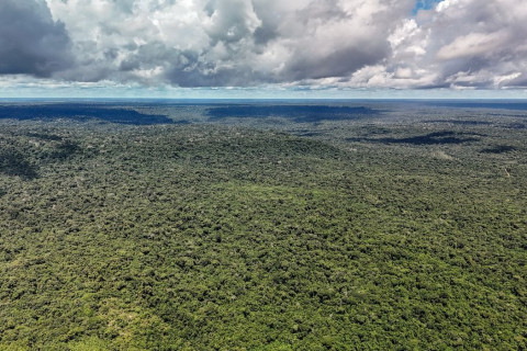 Desmatamento ameaça “máquina de chuva” que abastece a América do Sul
